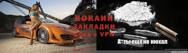 гашик Бородино