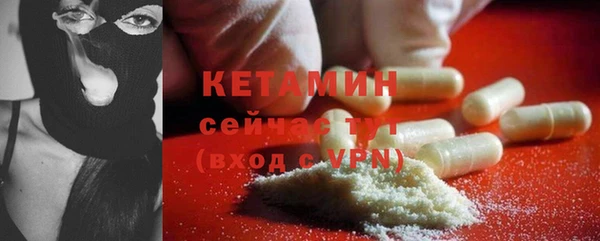 прущие грибы Верея