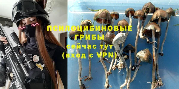 гидра Балабаново