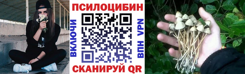 Псилоцибиновые грибы ЛСД дарнет шоп Лахденпохья